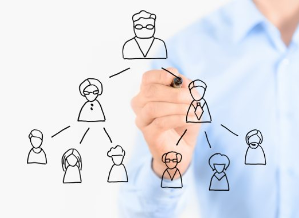 MLM Website