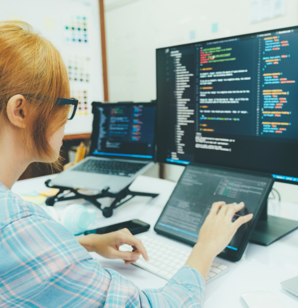 Hire WordPress Developer